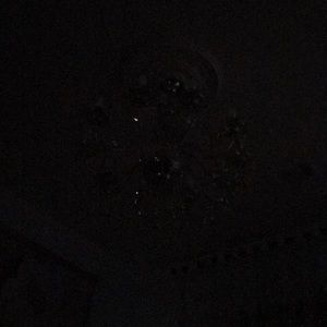 Meet your Posher, Liana